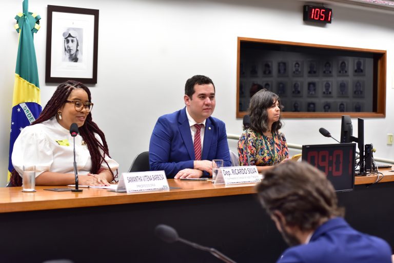 Audiência Pública – Despacho de bagagem e retirada de passageiro de aeronave. Professora, Samantha Vitena Barbosa. Dep. Ricardo Silva (PSD - SP)