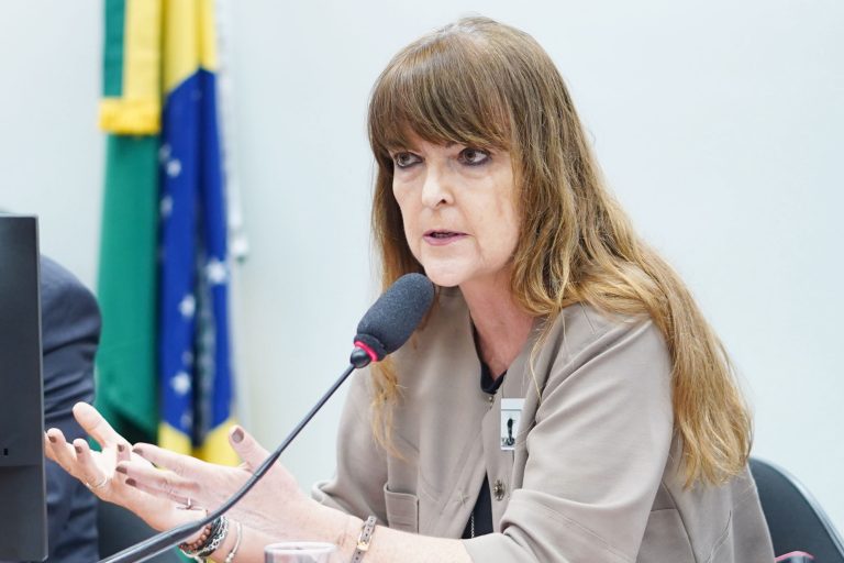 Audiência Pública – Revisão do Anexo C do Tratado de Itaipu, por parte do Brasil e do Paraguai. Secretária de América Latina e Caribe - Ministério das Relações Exteriores, Gisela Maria FIgueiredo Padovan.