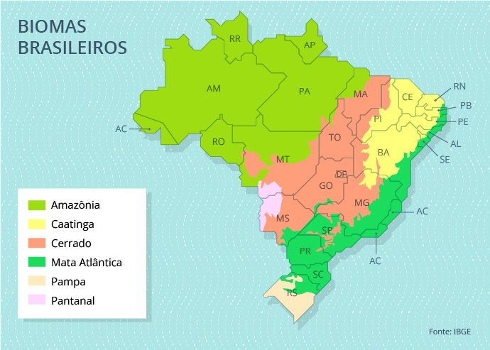 mapa dos biomas brasileiros