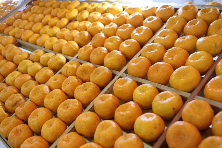 Tangerinas expostas numa banca
