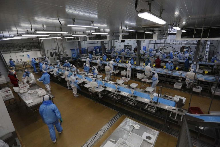 Trabalhadores em linha de produção de fábrica no Paraná