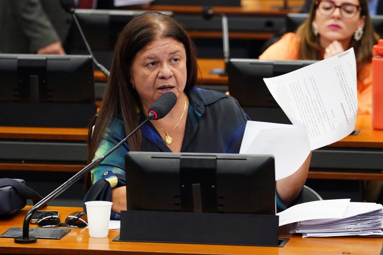 Deputada Laura Carneiro (PSD-RJ) fala em comissão da Câmara