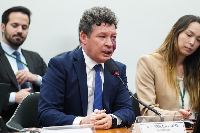 Apresentação do relatório. Dep. Reginaldo Lopes(PT - MG)