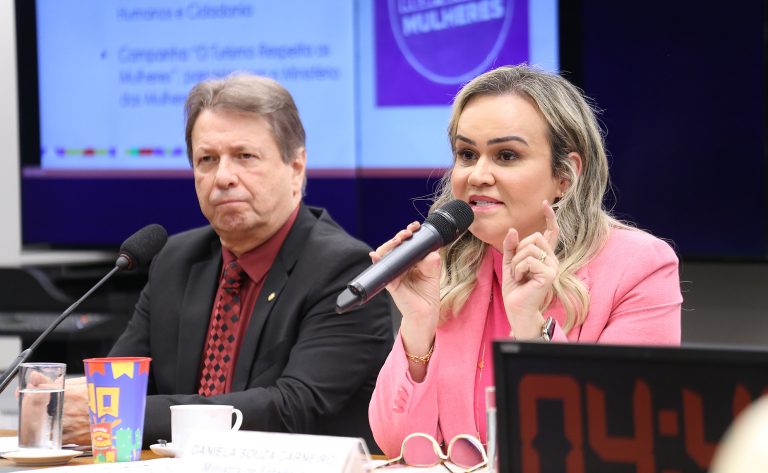 Audiência Pública – Planos e Programas do Ministério do Turismo para 2023. Ministro do Turismo do Brasil, Daniela Carneiro