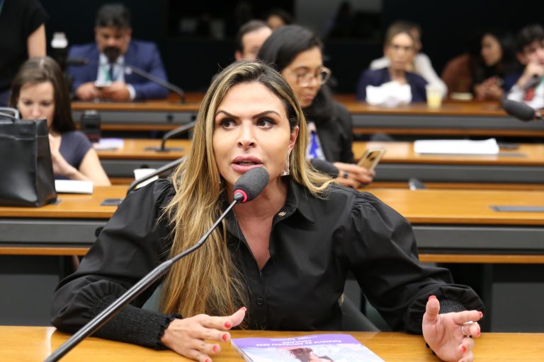 Deputada Silvye Alves (União-GO) na Comissão de Defesa dos Direitos da Mulher da Câmara dos Deputados